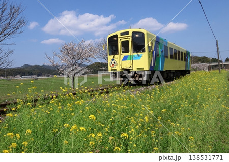 平成筑豊鉄道のディーゼルカーと菜の花&桜 平成筑豊鉄道のディーゼルカーと菜の花&桜 138531771
