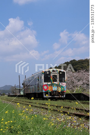 平成筑豊鉄道のディーゼルカーと菜の花&桜 平成筑豊鉄道のディーゼルカーと菜の花&桜 138531773