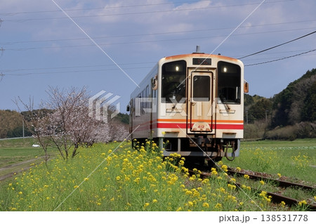 平成筑豊鉄道のディーゼルカーと菜の花＆桜 138531778