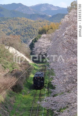 平成筑豊鉄道のディーゼルカーと菜の花&桜 平成筑豊鉄道のディーゼルカーと菜の花&桜 138531780