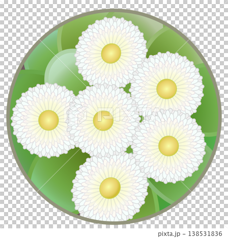 雛菊插圖,圓形背景 雛菊插圖,圓形背景 138531836