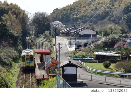 平成筑豊鉄道のディーゼルカーと菜の花&桜 平成筑豊鉄道のディーゼルカーと菜の花&桜 138532083