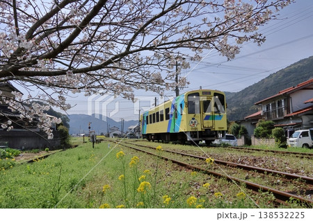 平成筑豊鉄道のディーゼルカーと菜の花&桜 平成筑豊鉄道のディーゼルカーと菜の花&桜 138532225
