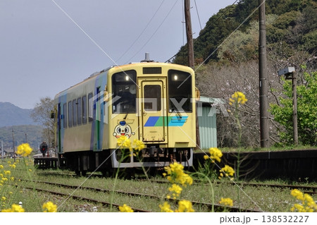 平成筑豊鉄道のディーゼルカーと菜の花＆桜 138532227