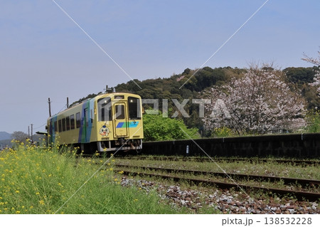 平成筑豊鉄道のディーゼルカーと菜の花＆桜 138532228