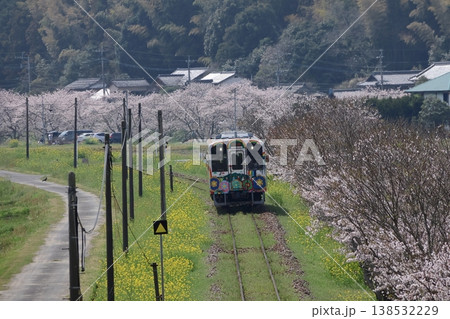 平成筑豊鉄道のディーゼルカーと菜の花&桜 平成筑豊鉄道のディーゼルカーと菜の花&桜 138532229