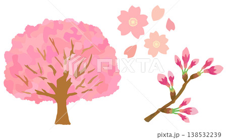 桜の花セット 桜の木 桜の花びら 桜の蕾 ベクター素材 138532239