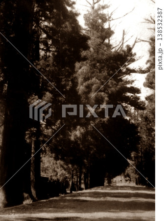 古写真 1953-1954年 日光杉並木 古写真 1953-1954年 日光杉並木 138532387