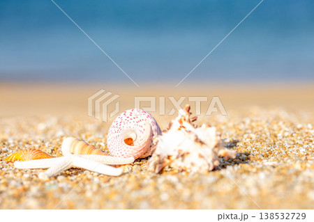 貝殻と砂浜 貝殻と砂浜 138532729