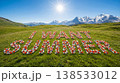 Thousands of wildflowers create the phrase I WANT SUMMER on a grassy field. Sunlight shines down as mountains rise in the background on a clear day in spring. 138533012