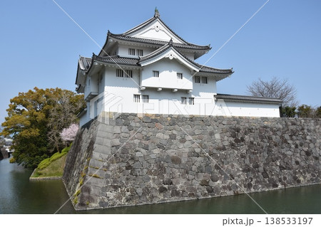 駿府城_坤櫓（ひつじさるやぐら） 138533197