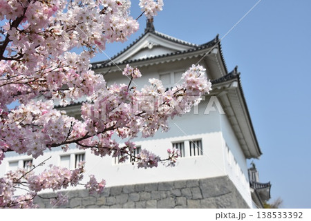桜に囲まれた駿府城_巽櫓 桜に囲まれた駿府城_巽櫓 138533392