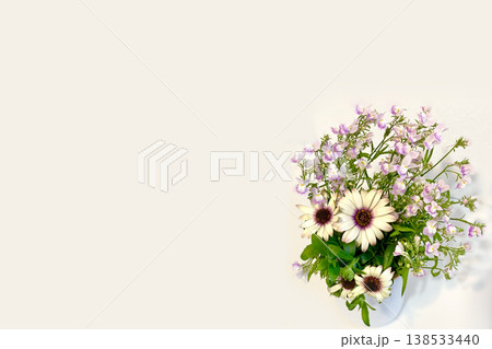 オステオスペルマムとリナリアの花束　春の花　白背景 138533440