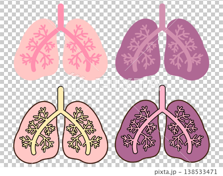 Lung illustration set Lung illustration set 138533471