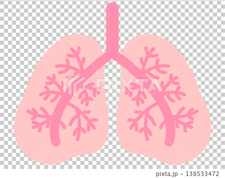 肺部插圖材料 138533472