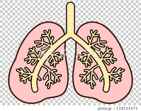 Lung illustration material 2 138533473