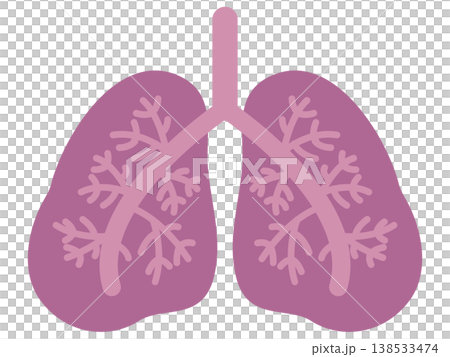 肺部插圖材料 3 138533474