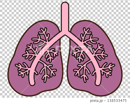 肺部插圖材料 4 138533475