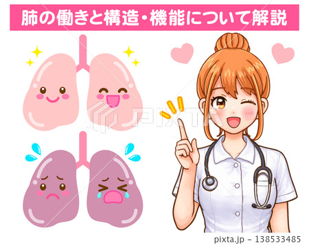肺の説明をする看護師の医療イラスト素材5 肺の説明をする看護師の医療イラスト素材5 138533485
