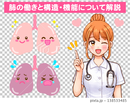 肺の説明をする看護師の医療イラスト素材5 肺の説明をする看護師の医療イラスト素材5 138533485