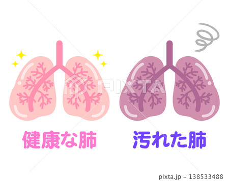 健康な肺と汚れた肺のイラスト素材 138533488