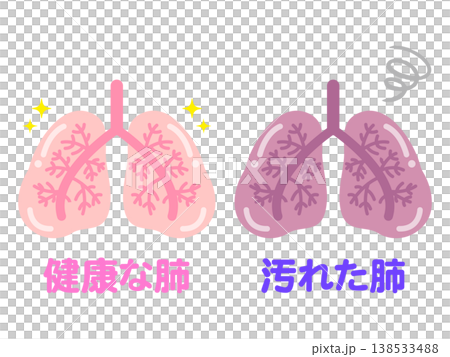 健康な肺と汚れた肺のイラスト素材 138533488