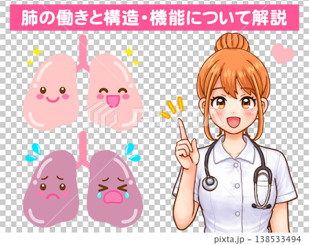 醫學插畫素材4:護理師講解肺部結構 醫學插畫素材4:護理師講解肺部結構 138533494