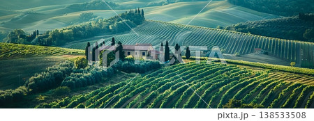 Rolling hills with lush farmland and crops in countryside landscape. Banner Rolling hills with lush farmland and crops in countryside landscape. Banner 138533508