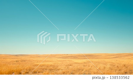 Expansive Plain with Golden Wheat Fields Under a Clear Blue Sky, Concept of Agriculture, Tranquility, Nature's Bounty, and Rural Landscapes 138533562