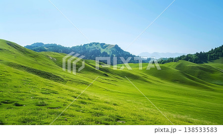 Scenic Alpine Pasture with Grazing Cattle Among Rolling Green Hills on a Clear Day. Concept of Serene Landscape, Tranquility, and Natural Beauty 138533583