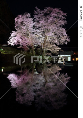 水面に映る苗代桜の夜景 138534161