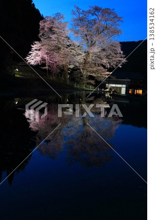 水面に映る苗代桜の夜景弐 水面に映る苗代桜の夜景弐 138534162