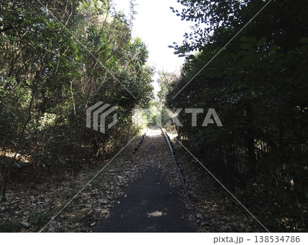 落ち葉が積もる森の中の遊歩道と木漏れ日の風景 落ち葉が積もる森の中の遊歩道と木漏れ日の風景 138534786