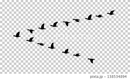 雁の群れのイラスト素材 138534894