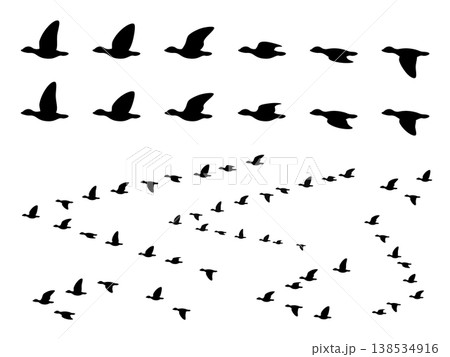 雁のはばたきと群れのイラスト素材セット 138534916