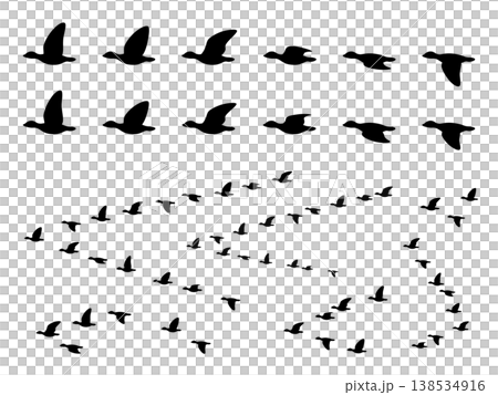 雁のはばたきと群れのイラスト素材セット 138534916