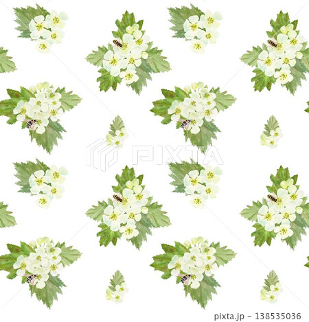A seamless pattern of white barberry flowers and leaves with bees. Hand-drawn watercolor illustration on an isolated background. Botanical spring clip art for textiles, wrapping paper, and design. A seamless pattern of white barberry flowers and leaves with bees. Hand-drawn watercolor illustration on an isolated background. Botanical spring clip art for textiles, wrapping paper, and design. 138535036