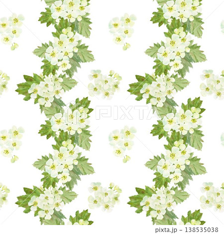 A seamless pattern of white barberry flowers and leaves with stripes. Hand-drawn watercolor illustration on an isolated background. Botanical spring clip art for textiles, wrapping paper, and design. A seamless pattern of white barberry flowers and leaves with stripes. Hand-drawn watercolor illustration on an isolated background. Botanical spring clip art for textiles, wrapping paper, and design. 138535038