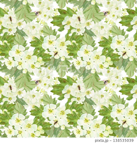 A seamless pattern of white barberry flowers and leaves with bees. Hand-drawn watercolor illustration on an isolated background. Botanical spring clip art for textiles, wrapping paper, and design A seamless pattern of white barberry flowers and leaves with bees. Hand-drawn watercolor illustration on an isolated background. Botanical spring clip art for textiles, wrapping paper, and design 138535039