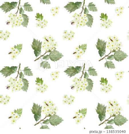 Seamless pattern of branches with white hawthorn flowers and leaves and bees. Hand-drawn watercolor illustration on an isolated background. Botanical clip art for textiles, wrapping paper, and design. Seamless pattern of branches with white hawthorn flowers and leaves and bees. Hand-drawn watercolor illustration on an isolated background. Botanical clip art for textiles, wrapping paper, and design. 138535040