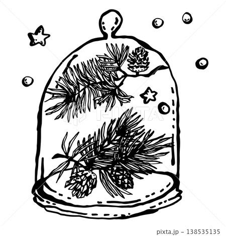 Pine branchesunder a transparent glass dome 138535135