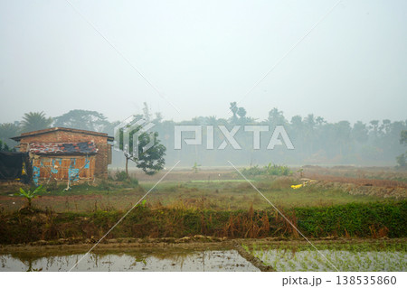 Traditional Rural Hut Beside Paddy Fields Under Misty Morning Sky in West Bengal Traditional Rural Hut Beside Paddy Fields Under Misty Morning Sky in West Bengal 138535860