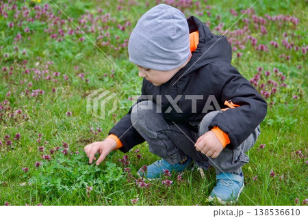 Little boy sitting on his haunches and exploring green grass in spring park. 138536610