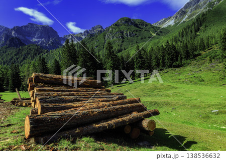 Stacked timber logs in alpine landscape with forest and mountains 138536632