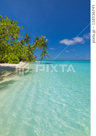 Tranquil tropical paradise beach with sweeping ocean view, lush exotic nature and idyllic summer vacation scenery 138536745