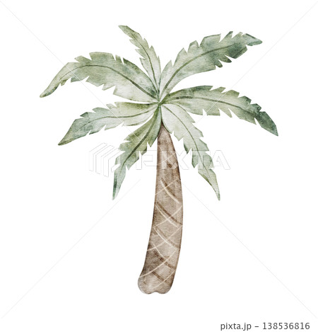 Coconut Tree. Safari palm illustration. Savanna wildlife landscape elements for nursery, jungle wallpaper, textile print and Africa themed design projects. Transparent background. Coconut Tree. Safari palm illustration. Savanna wildlife landscape elements for nursery, jungle wallpaper, textile print and Africa themed design projects. Transparent background. 138536816