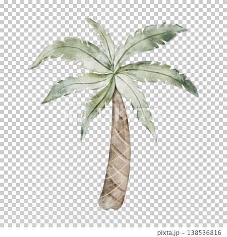 Coconut Tree. Safari palm illustration. Savanna wildlife landscape elements for nursery, jungle wallpaper, textile print and Africa themed design projects. Transparent background. Coconut Tree. Safari palm illustration. Savanna wildlife landscape elements for nursery, jungle wallpaper, textile print and Africa themed design projects. Transparent background. 138536816