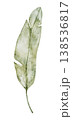 Single lush green banana leaf. Hand painted watercolor botanical illustration. Tropical leaves for fabric, cards, invitations, weddings and Safari birthday. Transparent background 138536817