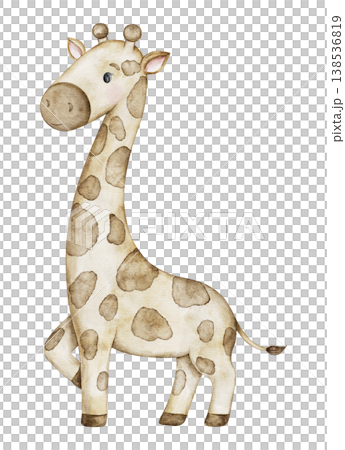 Cute baby giraffe hand painted in watercolor. Safari animal perfect for a baby shower, nursery decorations, or birthday invitations. Kids decor and playful toy. Transparent background 138536819