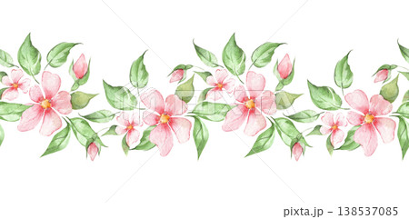 Seamless border pattern with pink watercolor flowers, buds and green leaves. Romantic botanical illustration Seamless border pattern with pink watercolor flowers, buds and green leaves. Romantic botanical illustration 138537085